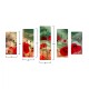 ΠΙΝΑΚΑΣ ΠΕΝΤΑΠΤΥΧΟ MDF POPPY FIELD FB97206.03 100X0,3X60 εκ.