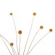 ΔΙΑΚΟΣΜΗΤΙΚΟ ΑΠΟΞΗΡΑΜΕΝΟ ΜΠΟΥΚΕΤΟ CRASPEDIA GLOBOSA FB97956 ΚΙΤΡΙΝΟ 63Υεκ.