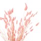 ΔΙΑΚΟΣΜΗΤΙΚΟ ΜΠΟΥΚΕΤΟ ΑΠΟΞΗΡΑΜΕΝΟ FB97960 RABBIT TAIL-PINK 75Υεκ.