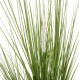 ΔΙΑΚΟΣΜΗΤΙΚΟ ΣΥΝΘΕΤΙΚΟ ΦΥΤΟ FB94017 BRISTLEGRASS ΣΕ ΓΛΑΣΤΡΑ 173Υεκ.