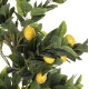 ΔΙΑΚΟΣΜΗΤΙΚΟ ΣΥΝΘΕΤΙΚΟ ΦΥΤΟ FB94020 ΛΕΜΟΝΙΑ ΣΕ ΓΛΑΣΤΡΑ Φ15x12-170Υ εκ.