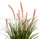 ΔΙΑΚΟΣΜΗΤΙΚΟ ΣΥΝΘΕΤΙΚΟ ΦΥΤΟ FB94029 BRISTLEGRASS ΣΕ ΓΛΑΣΤΡΑ Φ14,5x13-62Yεκ.