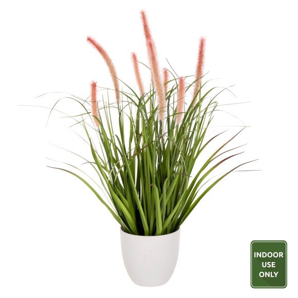 ΔΙΑΚΟΣΜΗΤΙΚΟ ΣΥΝΘΕΤΙΚΟ ΦΥΤΟ FB94029 BRISTLEGRASS ΣΕ ΓΛΑΣΤΡΑ Φ14,5x13-62Yεκ.