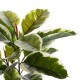 ΔΙΑΚΟΣΜΗΤΙΚΟ ΣΥΝΘΕΤΙΚΟ ΦΥΤΟ FB97972 OAK LEAF ΣΕ ΓΛΑΣΤΡΑ 85Υεκ.