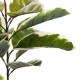 ΔΙΑΚΟΣΜΗΤΙΚΟ ΣΥΝΘΕΤΙΚΟ ΦΥΤΟ FB97972 OAK LEAF ΣΕ ΓΛΑΣΤΡΑ 85Υεκ.