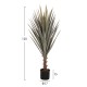 ΔΙΑΚΟΣΜΗΤΙΚΟ ΣΥΝΘΕΤΙΚΟ ΦΥΤΟ FB97987 SISAL AGAVE ΣΕ ΓΛΑΣΤΡΑ 120Υεκ.