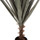 ΔΙΑΚΟΣΜΗΤΙΚΟ ΣΥΝΘΕΤΙΚΟ ΦΥΤΟ FB97987 SISAL AGAVE ΣΕ ΓΛΑΣΤΡΑ 120Υεκ.