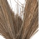 ΔΙΑΚΟΣΜΗΤΙΚΟ ΔΕΝΤΡΟ FB94324 τ.ΦΟΙΝΙΚΑ ΑΠΟ MENDONG GRASS 280Yεκ.