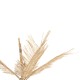 ΔΙΑΚΟΣΜΗΤΙΚΟ ΔΕΝΤΡΟ FB97870 ΦΥΣΙΚΟ ΑΠΟ MENDONG GRASS Φ130x160Yεκ.