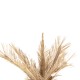 ΔΙΑΚΟΣΜΗΤΙΚΟ ΔΕΝΤΡΟ FB97871 RATTAN ΣΕ ΦΥΣΙΚΟ ΧΡΩΜΑ Φ110x180Yεκ.