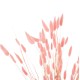 ΔΙΑΚΟΣΜΗΤΙΚΟ ΜΠΟΥΚΕΤΟ ΑΠΟΞΗΡΑΜΕΝΟ FB97960 RABBIT TAIL-PINK 75Υεκ.