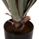 ΔΙΑΚΟΣΜΗΤΙΚΟ ΣΥΝΘΕΤΙΚΟ ΦΥΤΟ FB97985 SISAL AGAVE ΣΕ ΓΛΑΣΤΡΑ  Φ13,5x13-76Υεκ.