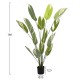 ΔΙΑΚΟΣΜΗΤΙΚΟ ΣΥΝΘΕΤΙΚΟ ΦΥΤΟ FB97997 CALATHEA ΣΕ ΓΛΑΣΤΡΑ 140Υεκ.