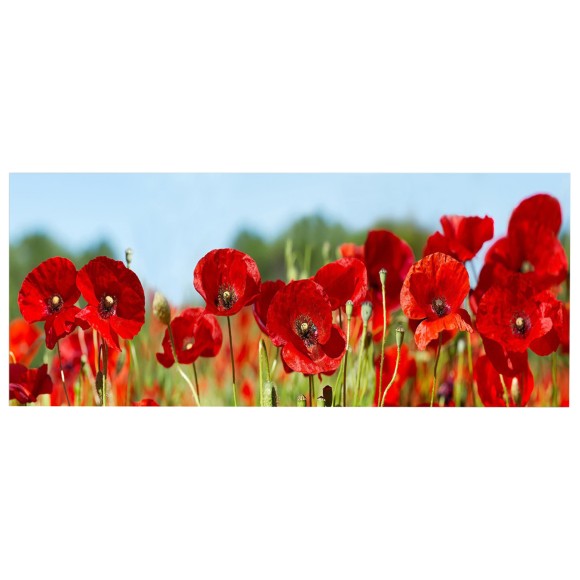 ΠΙΝΑΚΑΣ TOIXOY FB94786 ΕΚΤΥΠΩΜΕΝΟΣ ΚΑΜΒΑΣ 120x3(πάχος)x50Υεκ.