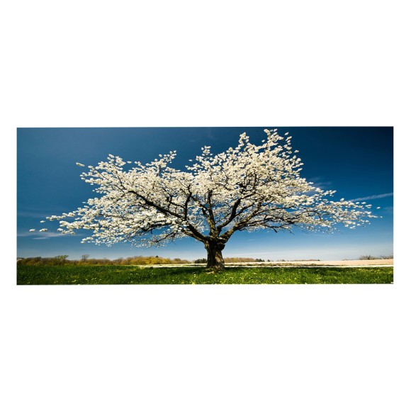 ΠΙΝΑΚΑΣ TOIXOY FB94792 ΕΚΤΥΠΩΜΕΝΟΣ ΚΑΜΒΑΣ 120x3(πάχος)x50Υεκ.