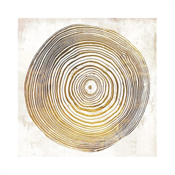 ΠΙΝΑΚΑΣ ΚΑΜΒΑΣ DOME OF CHAPEL OF MONTESIEPI FB97199.03 45x3x45 εκ.