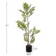 ΔΙΑΚΟΣΜΗΤΙΚΟ ΣΥΝΘΕΤΙΚΟ ΦΥΤΟ FB94005 ΔΕΝΤΡΟ ΣΕ ΓΛΑΣΤΡΑ 112Υεκ.