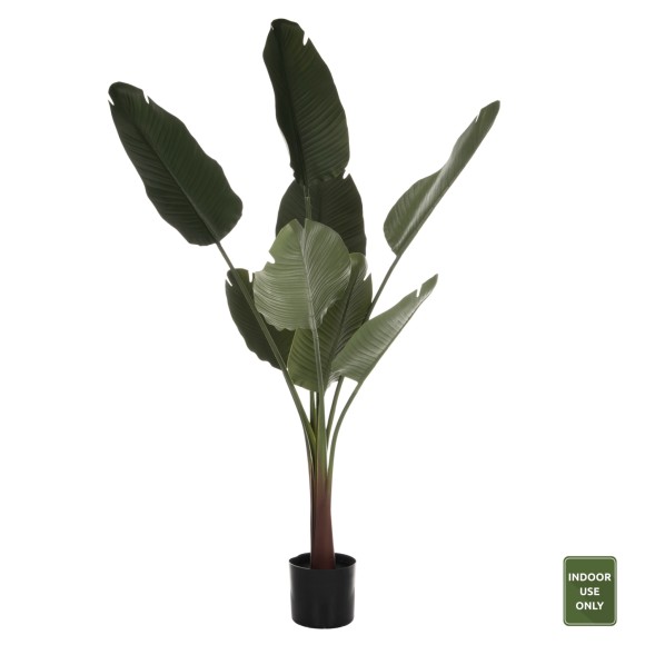 ΔΙΑΚΟΣΜΗΤΙΚΟ ΣΥΝΘΕΤΙΚΟ ΦΥΤΟ FB97982 ΣΤΡΕΛΙΤΣΙΑ ΣΕ ΓΛΑΣΤΡΑ Φ17x14,5-150Yεκ.