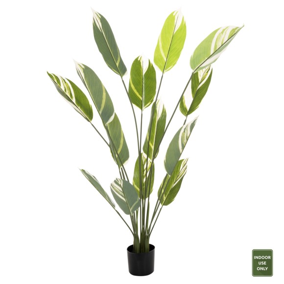 ΔΙΑΚΟΣΜΗΤΙΚΟ ΣΥΝΘΕΤΙΚΟ ΦΥΤΟ FB97997 CALATHEA ΣΕ ΓΛΑΣΤΡΑ 140Υεκ.