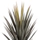 ΔΙΑΚΟΣΜΗΤΙΚΟ ΣΥΝΘΕΤΙΚΟ ΦΥΤΟ FB97987 SISAL AGAVE ΣΕ ΓΛΑΣΤΡΑ 120Υεκ.