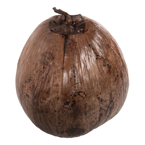 ΕΠΙΤΡΑΠΕΖΙΟ ΔΙΑΚΟΣΜΗΤΙΚΟ FB94326.01 ΚΑΡΥΔΑ ΣΕ ΦΥΣΙΚΟ ΧΡΩΜΑ 20x20x20Υεκ