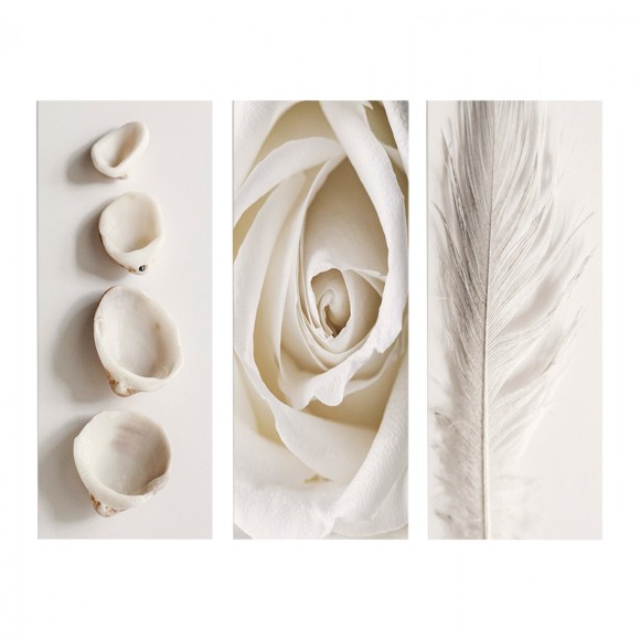 ΠΙΝΑΚΑΣ ΤΡΙΠΤΥΧΟ MDF NATURAL ELEMENTS FB97204.05 60X0,3X50 εκ.