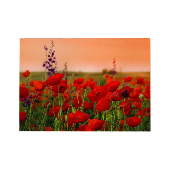 ΠΙΝΑΚΑΣ TOIXOY FB94760 ΕΚΤΥΠΩΜΕΝΟΣ ΚΑΜΒΑΣ 70x3(πάχος)x50Υεκ.