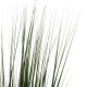 ΔΙΑΚΟΣΜΗΤΙΚΟ ΣΥΝΘΕΤΙΚΟ ΦΥΤΟ FB94012 GRASS ΣΕ ΓΛΑΣΤΡΑ 120Υεκ.