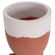 ΓΛΑΣΤΡΕΣ ΣΕΤ 2ΤΜX FB94686.08 TERRACOTTA ΣΕ ΛΕΥΚΟ & ΤΕΡΑΚΟΤΑ--TEAK ΒΑΣΗ