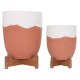 ΓΛΑΣΤΡΕΣ ΣΕΤ 2ΤΜX FB94686.08 TERRACOTTA ΣΕ ΛΕΥΚΟ & ΤΕΡΑΚΟΤΑ--TEAK ΒΑΣΗ