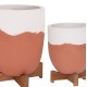 ΓΛΑΣΤΡΕΣ ΣΕΤ 2ΤΜX FB94686.08 TERRACOTTA ΣΕ ΛΕΥΚΟ & ΤΕΡΑΚΟΤΑ--TEAK ΒΑΣΗ