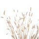 ΔΙΑΚΟΣΜΗΤΙΚΟ ΜΠΟΥΚΕΤΟ ΑΠΟΞΗΡΑΜΕΝΟ FB97959 RABBIT TAIL- CREAM 50gr 76Υεκ.