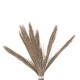 ΔΙΑΚΟΣΜΗΤΙΚΟ ΔΕΝΤΡΟ FB94325 τ.ΦΟΙΝΙΚΑ ΑΠΟ MENDONG GRASS 210Yεκ.