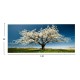 ΠΙΝΑΚΑΣ TOIXOY FB94792 ΕΚΤΥΠΩΜΕΝΟΣ ΚΑΜΒΑΣ 120x3(πάχος)x50Υεκ.