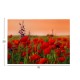 ΠΙΝΑΚΑΣ TOIXOY FB94760 ΕΚΤΥΠΩΜΕΝΟΣ ΚΑΜΒΑΣ 70x3(πάχος)x50Υεκ.